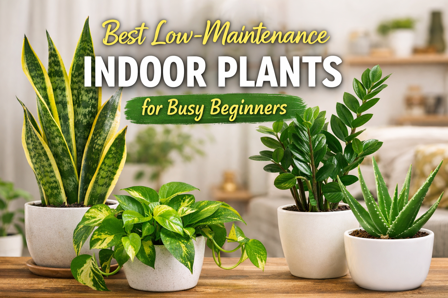 Best Low-Maintenance Indoor Plants for Busy Beginners (Complete 2026 SEO Guide)